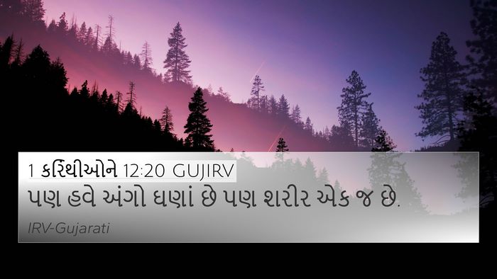 1 કરિંથીઓને 12:20 GUJIRV Bible Verse Image