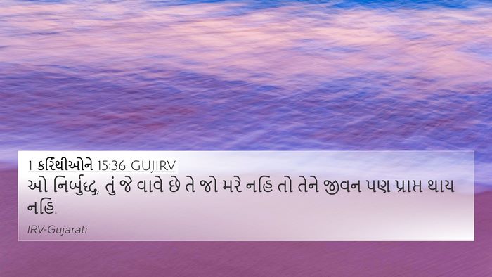 1 કરિંથીઓને 15:36 GUJIRV Bible Verse Image