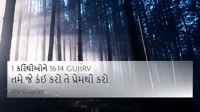 1 કરિંથીઓને 16:14 GUJIRV Bible Verse Image