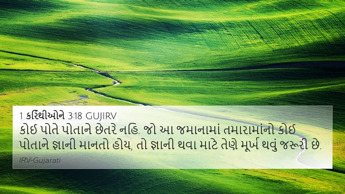 1 કરિંથીઓને 3:18 GUJIRV Bible Verse Image