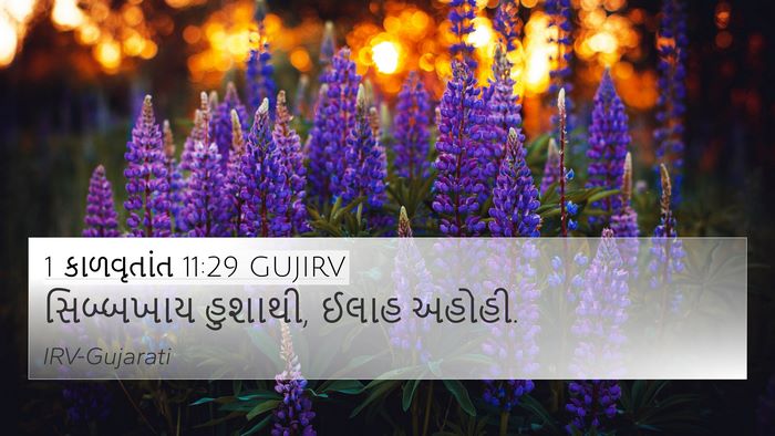 1 કાળવૃતાંત 11:29 GUJIRV Bible Verse Image