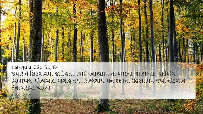 1 કાળવૃતાંત 12:20 GUJIRV Bible Verse Image