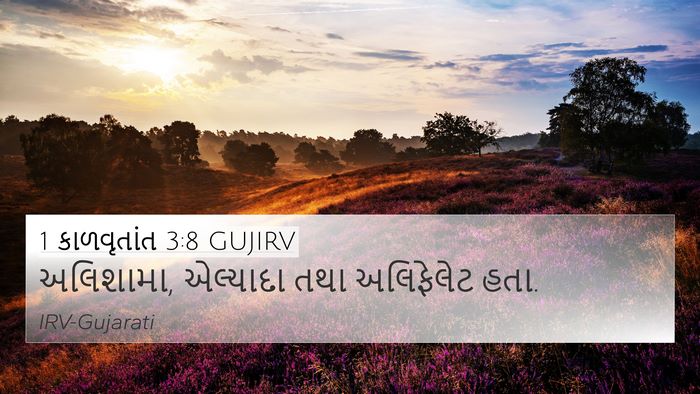 1 કાળવૃતાંત 3:8 GUJIRV Bible Verse Image