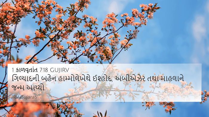 1 કાળવૃતાંત 7:18 GUJIRV 4K Wallpaper - ગિલ્યાદની બહેન - 4K Wallpaper Bible Verse