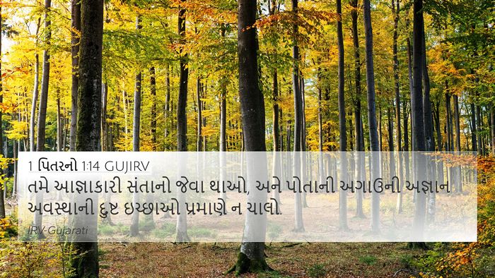 1 પિતરનો 1:14 GUJIRV Bible Verse Image