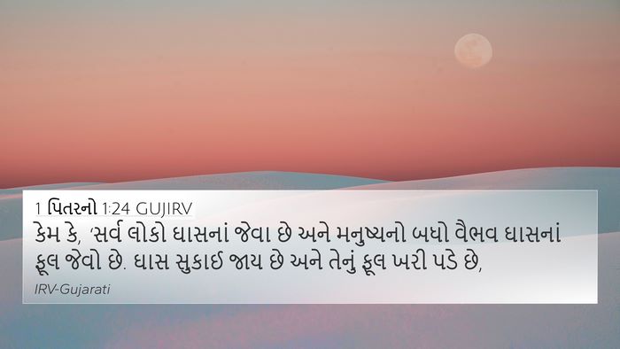 1 પિતરનો 1:24 GUJIRV Bible Verse Image