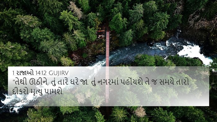 1 રાજાઓ 14:12 GUJIRV Bible Verse Image