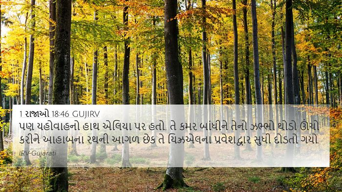 1 રાજાઓ 18:46 GUJIRV Bible Verse Image