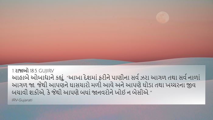 1 રાજાઓ 18:5 GUJIRV Bible Verse Image