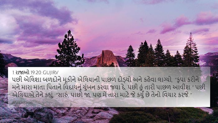 1 રાજાઓ 19:20 GUJIRV Bible Verse Image