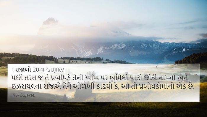 1 રાજાઓ 20:41 GUJIRV 4K Wallpaper - પછી તરત જ તે - 4K Wallpaper Bible Verse