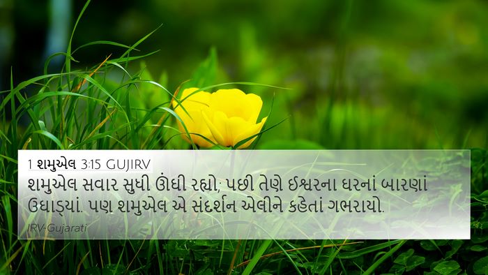 1 શમુએલ 3:15 GUJIRV Bible Verse Image