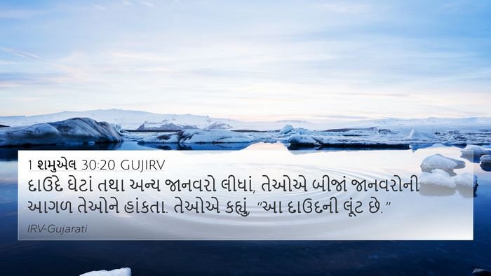 1 શમુએલ 30:20 GUJIRV Bible Verse Image