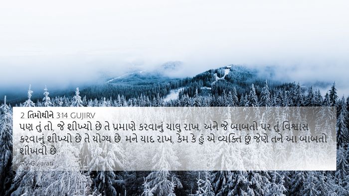 2 તિમોથીને 3:14 GUJIRV Bible Verse Image