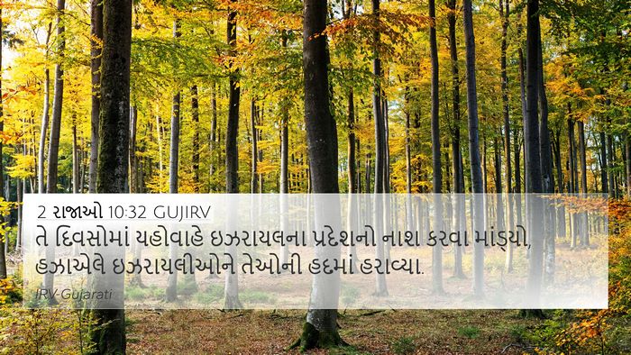 2 રાજાઓ 10:32 GUJIRV Bible Verse Image