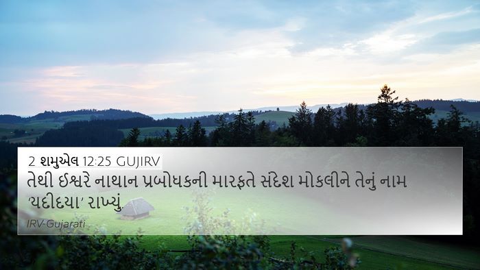 2 શમુએલ 12:25 GUJIRV Bible Verse Image
