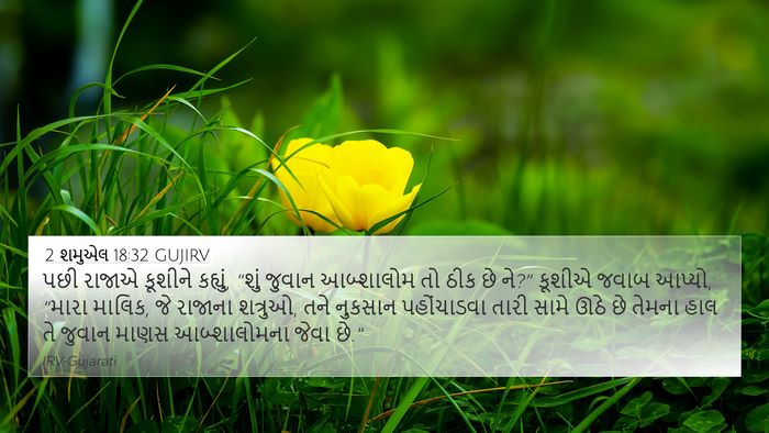 2 શમુએલ 18:32 GUJIRV Bible Verse Image