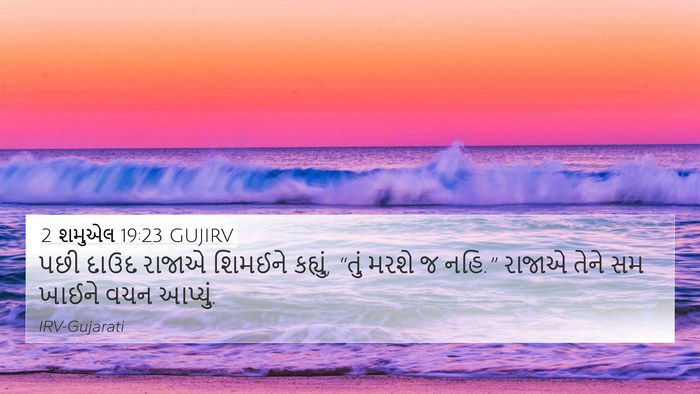 2 શમુએલ 19:23 GUJIRV Bible Verse Image