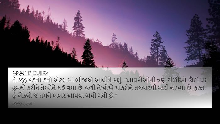 અયૂબ 1:17 GUJIRV Bible Verse Image