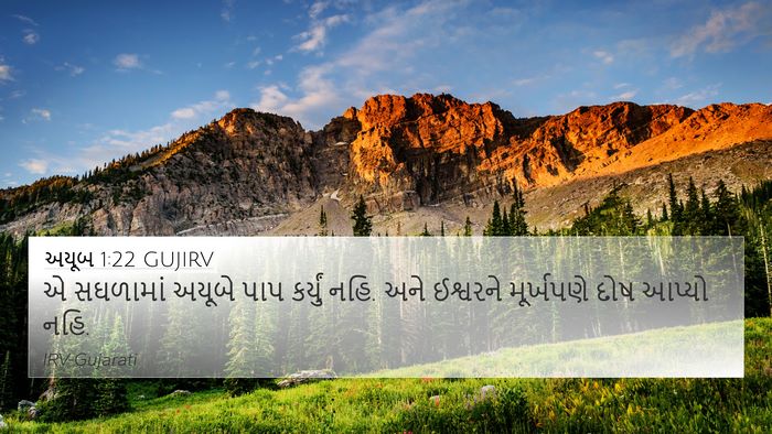 અયૂબ 1:22 GUJIRV Bible Verse Image