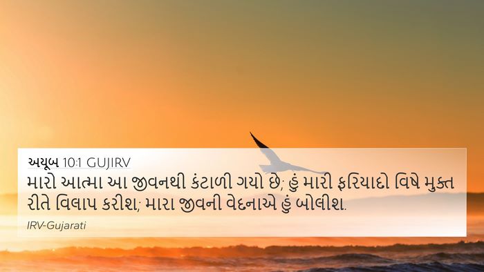 અયૂબ 10:1 GUJIRV Bible Verse Image
