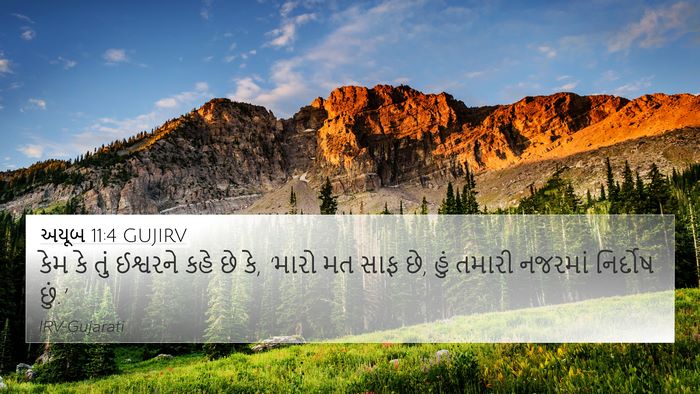 અયૂબ 11:4 GUJIRV Bible Verse Image