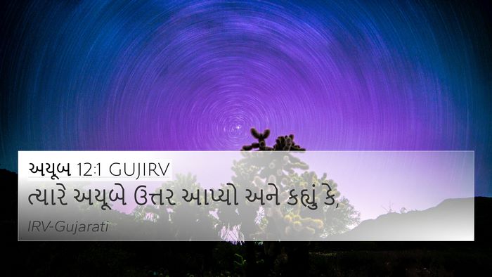 અયૂબ 12:1 GUJIRV 4K Wallpaper - ત્યારે અયૂબે - 4K Wallpaper Bible Verse