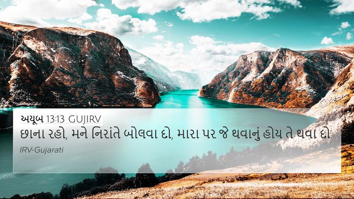 અયૂબ 13:13 GUJIRV Bible Verse Image