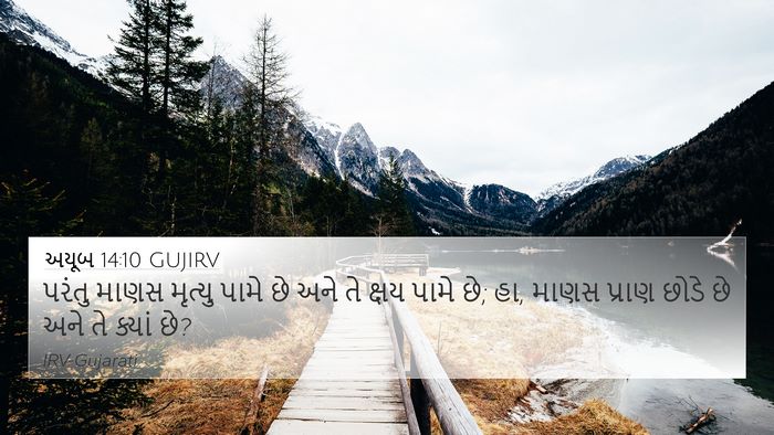 અયૂબ 14:10 GUJIRV Bible Verse Image