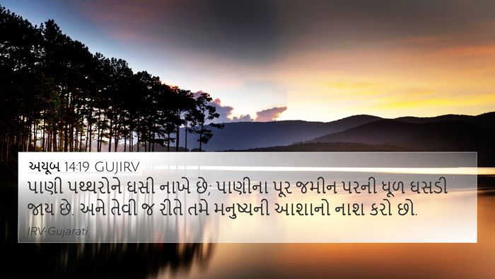 અયૂબ 14:19 GUJIRV Bible Verse Image