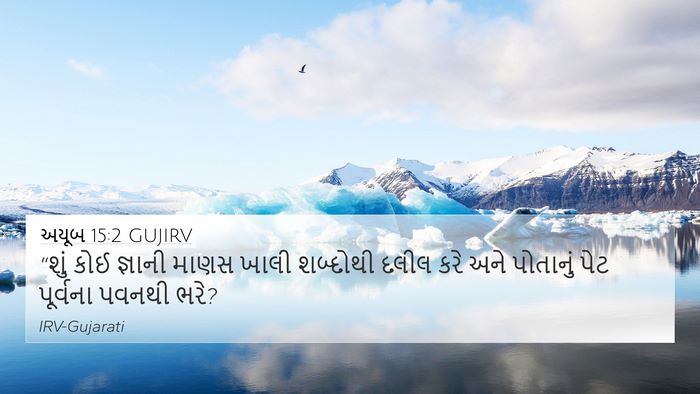 અયૂબ 15:2 GUJIRV Bible Verse Image