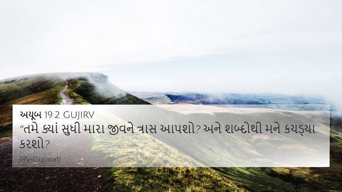 અયૂબ 19:2 GUJIRV Bible Verse Image
