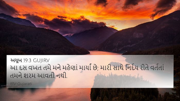 અયૂબ 19:3 GUJIRV Bible Verse Image