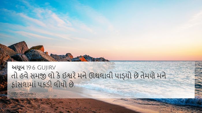અયૂબ 19:6 GUJIRV Bible Verse Image