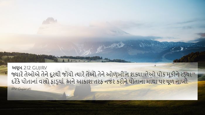અયૂબ 2:12 GUJIRV Bible Verse Image
