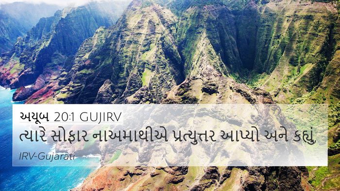 અયૂબ 20:1 GUJIRV Bible Verse Image