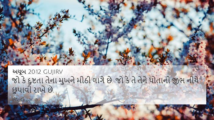અયૂબ 20:12 GUJIRV Bible Verse Image