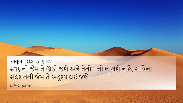 અયૂબ 20:8 GUJIRV Bible Verse Image