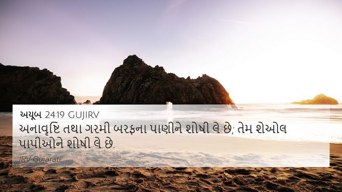 અયૂબ 24:19 GUJIRV Bible Verse Image