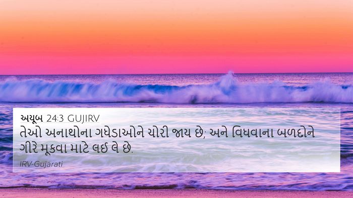 અયૂબ 24:3 GUJIRV Bible Verse Image