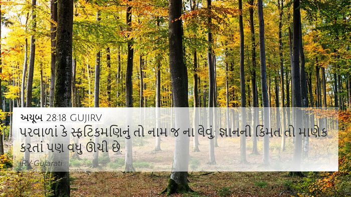 અયૂબ 28:18 GUJIRV Bible Verse Image