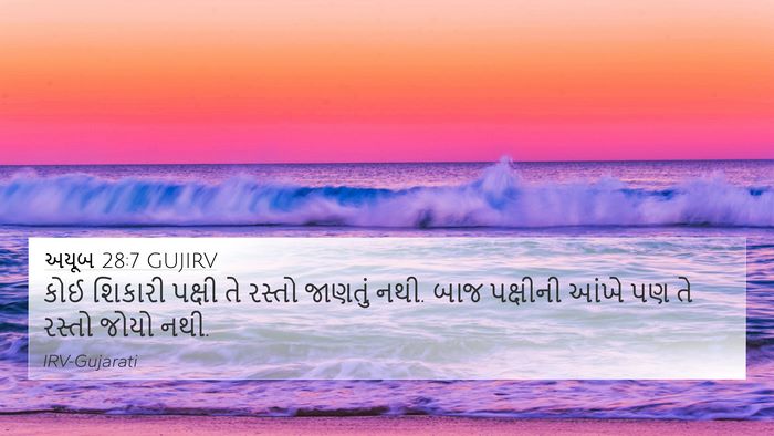 અયૂબ 28:7 GUJIRV Bible Verse Image