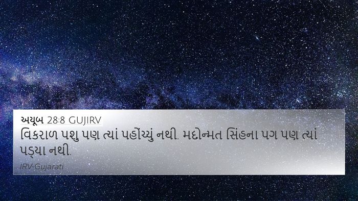 અયૂબ 28:8 GUJIRV 4K Wallpaper - વિકરાળ પશુ પણ - 4K Wallpaper Bible Verse