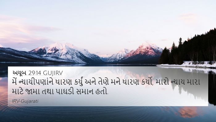 અયૂબ 29:14 GUJIRV Bible Verse Image