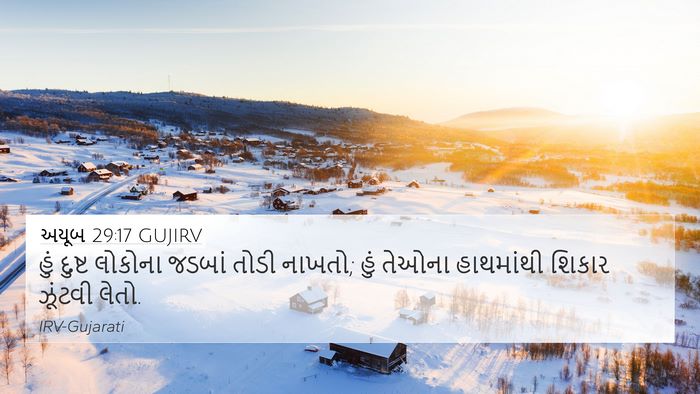 અયૂબ 29:17 GUJIRV Bible Verse Image