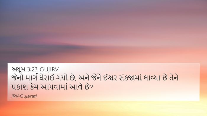 અયૂબ 3:23 GUJIRV Bible Verse Image