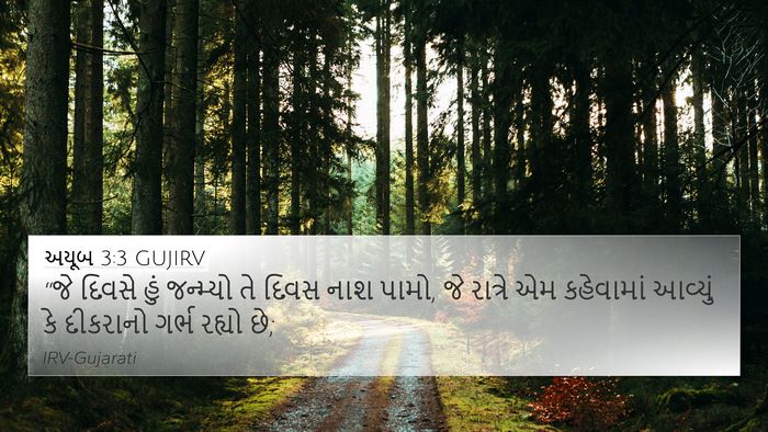 અયૂબ 3:3 GUJIRV Bible Verse Image