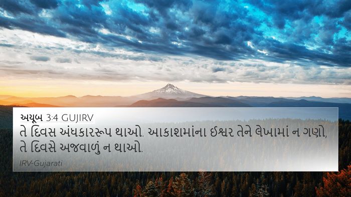 અયૂબ 3:4 GUJIRV Bible Verse Image
