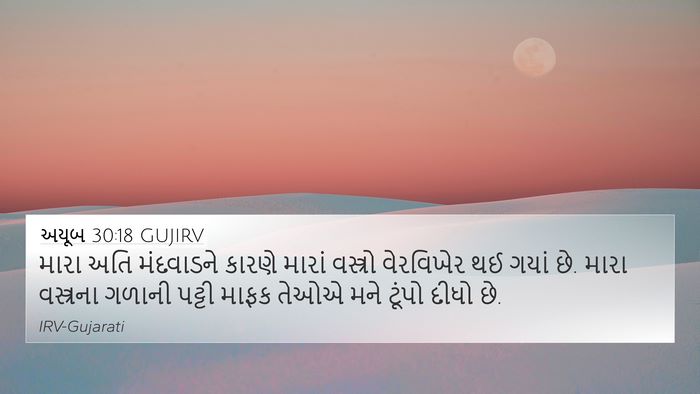 અયૂબ 30:18 GUJIRV Bible Verse Image