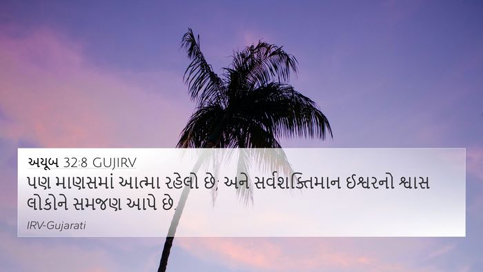 અયૂબ 32:8 GUJIRV Bible Verse Image
